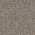 Dove Boucle